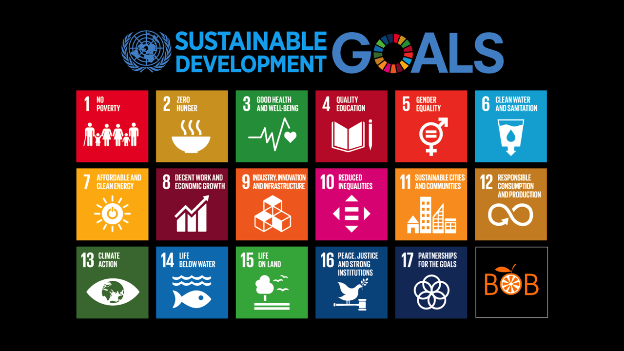 Insights – Bob Eco’s Seventeen Sustainable Development Goals.